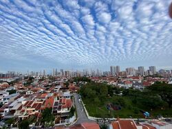 Bishan 8 (D20), Condominium #595616171